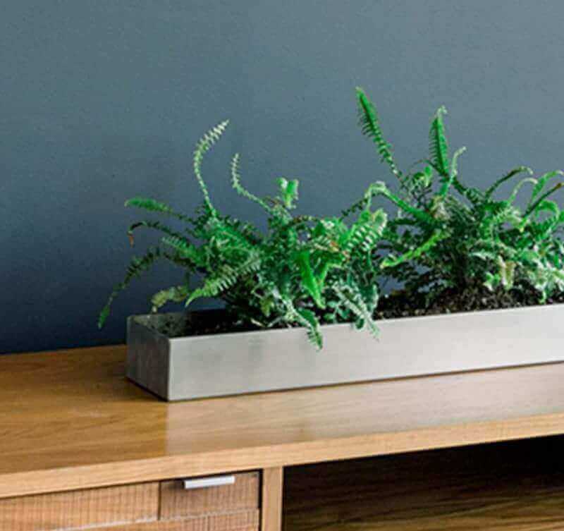 Colorful Painting For Your Dream!