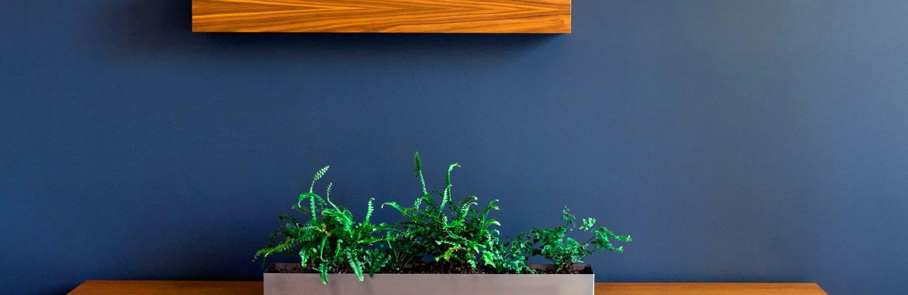 Colorful Painting For Your Dream!